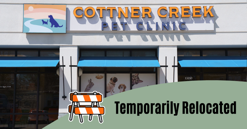 Exciting Changes Coming to Cottner Creek Pet Clinic!