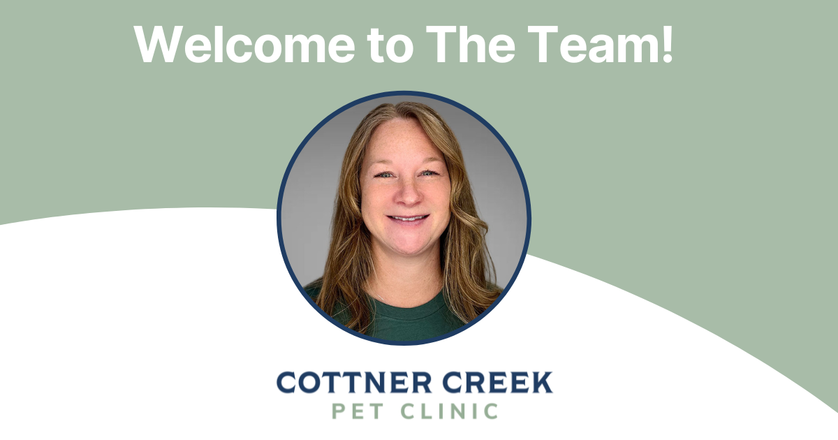 Welcome, Dr. Demyan!