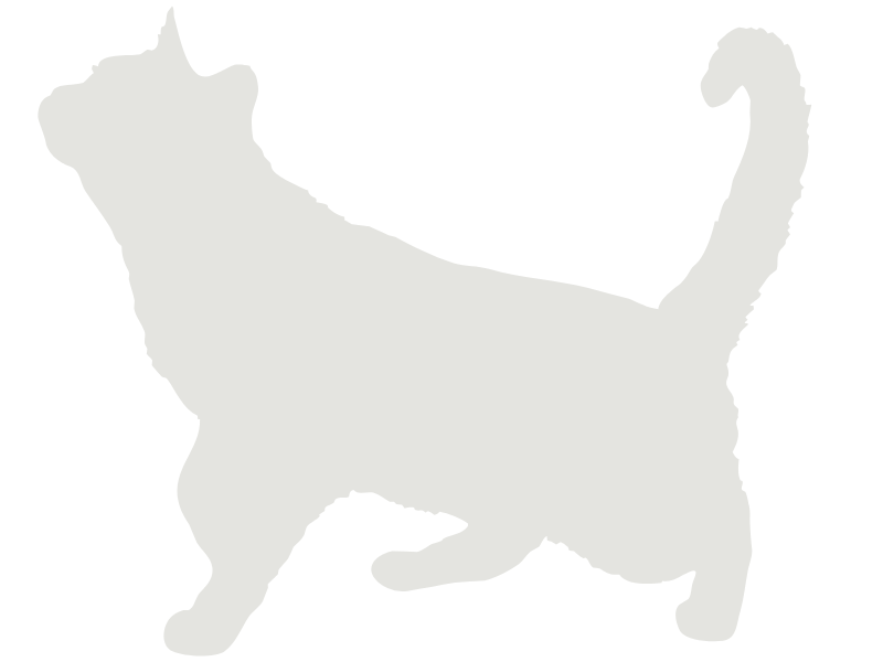 Pet Prime Feline Wellness Plan