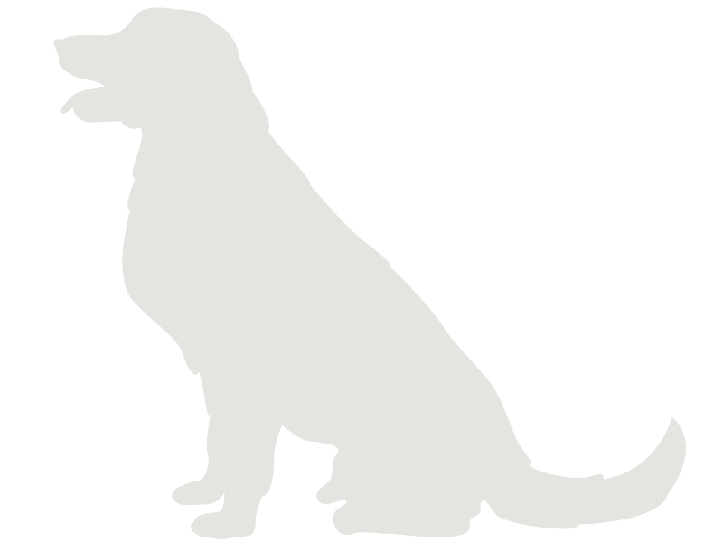 Pet Prime Canine Wellness Plan